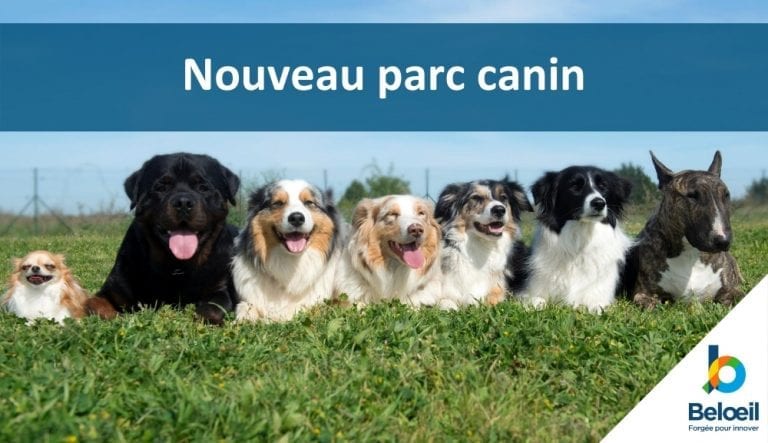 Parcs canins - Ville de Victoriaville
