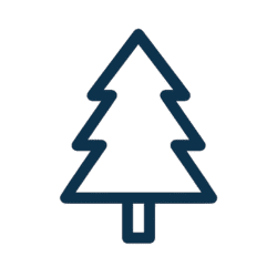 En savoir plus sur les sapins naturels