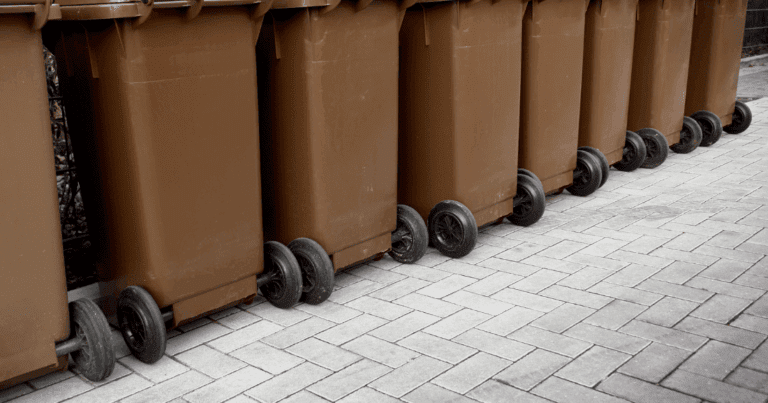 Une rangée de bacs à déchets bruns alignés sur un sol pavé.
