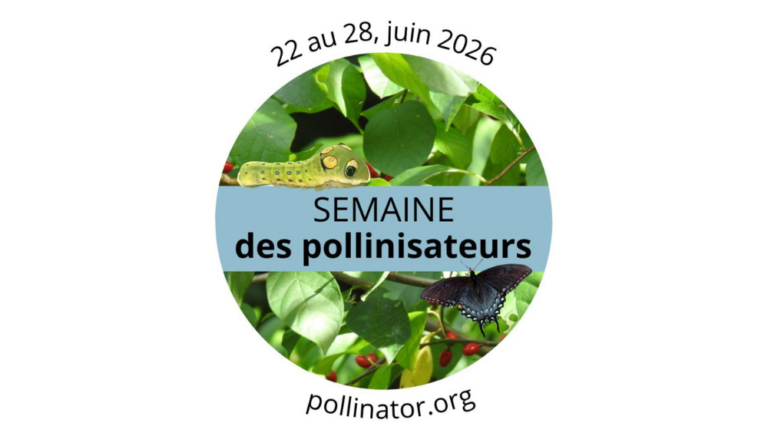 Visuel de la Semaine des pollinisateurs, du 22 au 28 juin 2026, montrant une chenille et un papillon parmi des feuilles vertes. Adresse affichée : pollinator.org.