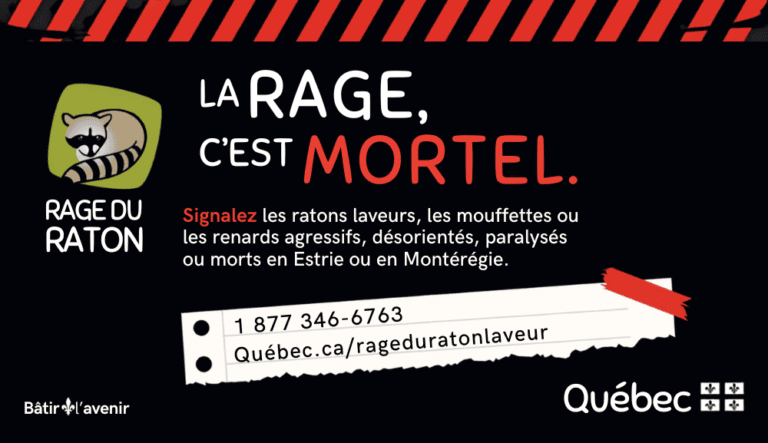 Affiche du gouvernement du Québec indiquant que la rage est mortelle et demandant de signaler les ratons laveurs, mouffettes ou renards agressifs, désorientés, paralysés ou morts en Estrie ou en Montérégie.