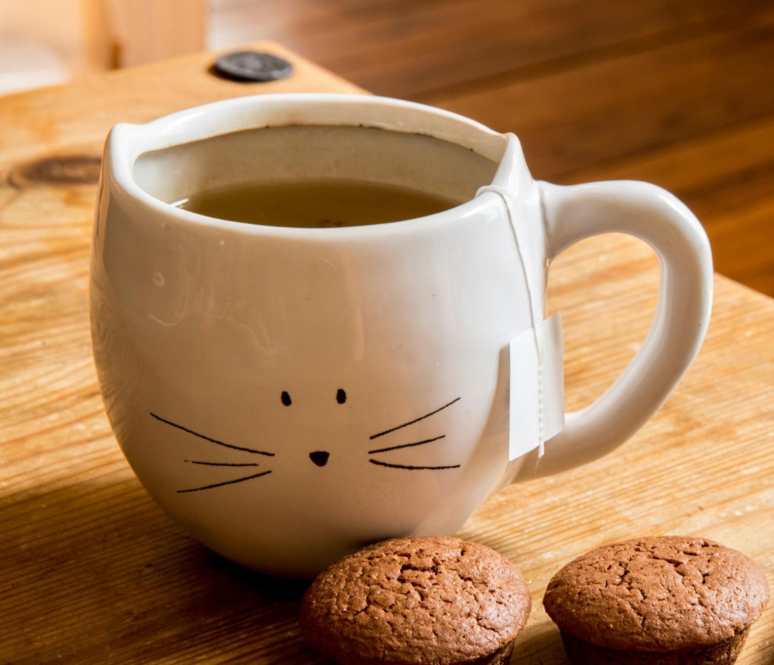 Tasse en céramique décorée d’un visage de chat contenant du thé, posée sur une table en bois avec deux petits gâteaux.