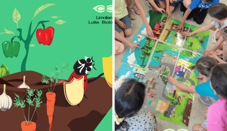 Illustration d’un potager avec légumes et insecte, à côté d’enfants réunis autour d’un grand jeu éducatif illustrant un quartier, la nature et l’environnement.