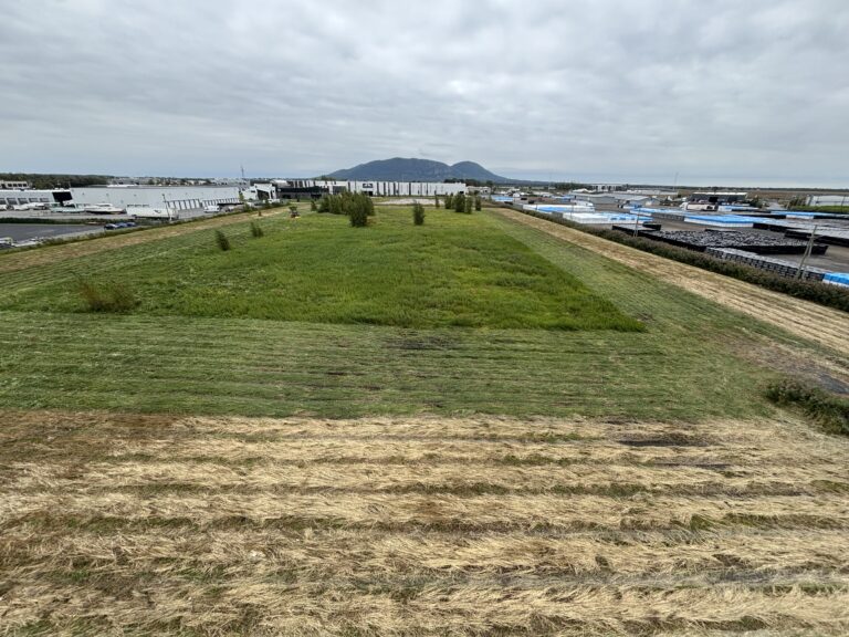 Terrain vacant couvert d’herbe dans un secteur industriel, entouré de bâtiments et d’aires d’entreposage, avec une montagne visible à l’horizon.